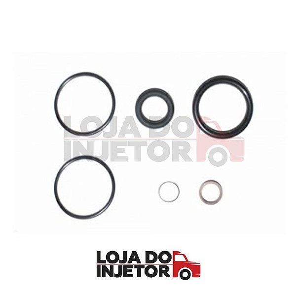 Kit Reparo Arruelas Injetor Eletrônico F00VC99002