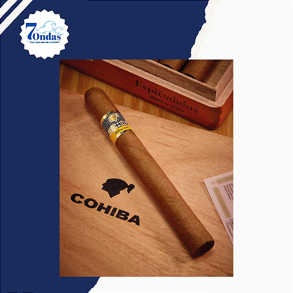 Charuto Cohiba Esplendidos