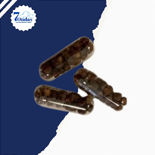 Pimenta da costa kit 12 capsula