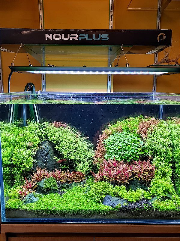 Luminária OceanTech Modelo Nour Plus Fresh Bivolt Lumens 6968 Tamanho 60