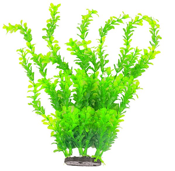 Planta Verde BBB Pet Aquarium 40cm Mod.7