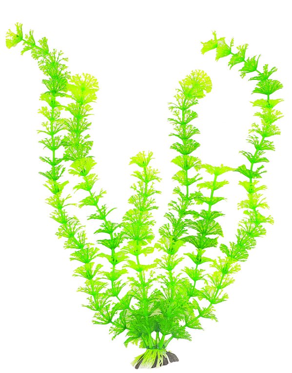 Planta Verde BBB Pet Aquarium 16cm Mod.2