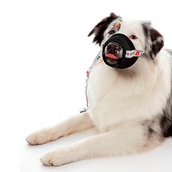 Roupas Pet Med Protetor Especiais Focinheira Para Contenção