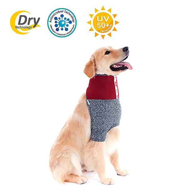 Roupas Pet Med Protetor Especiais de Pescoço