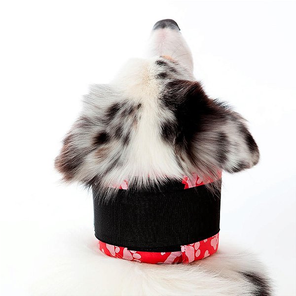 Colar Pet Med Protetor Especiais Cervical