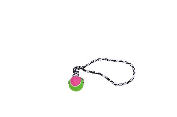 Cod.: 247 Push Dog Ball B 470mm
