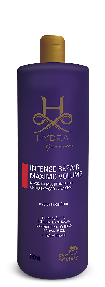 Hidratação Hydra Intense Repair Máximo Volume 480ml