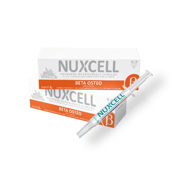 Probiótico BioSyn Nuxcell Beta Osteo
