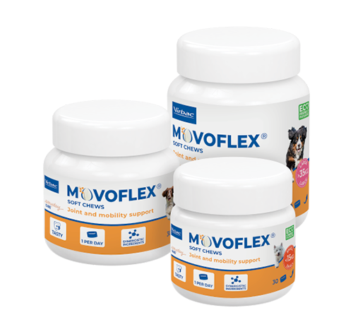 MOVOFLEX® Soft Chews Virbac Suplemento Articular para Cães de Grande Porte
