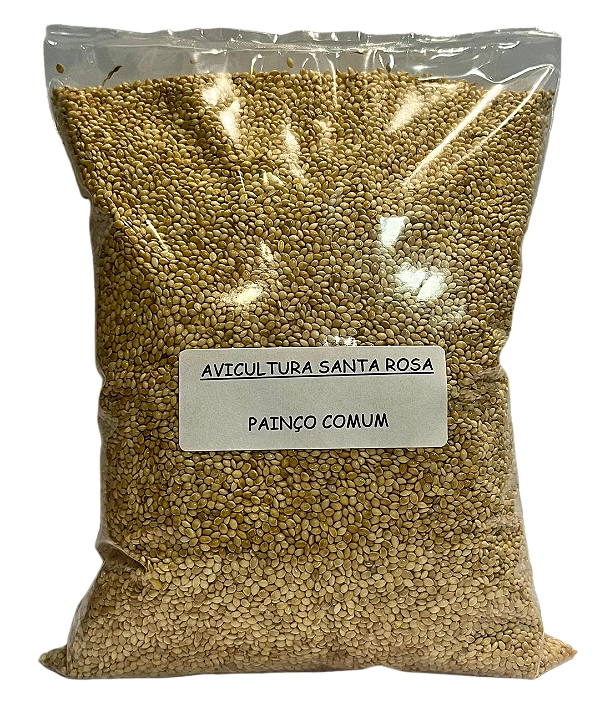 Painço Amarelo Comum