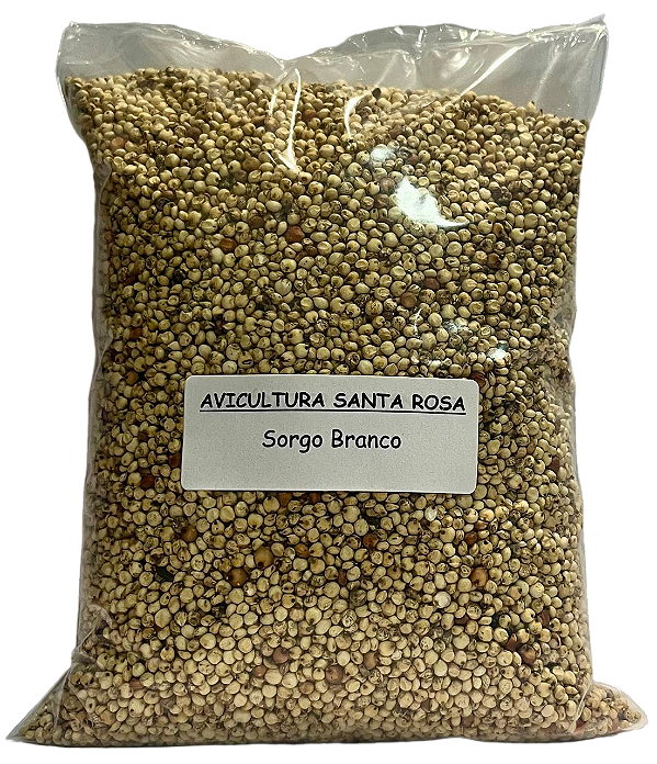 Sorgo Branco