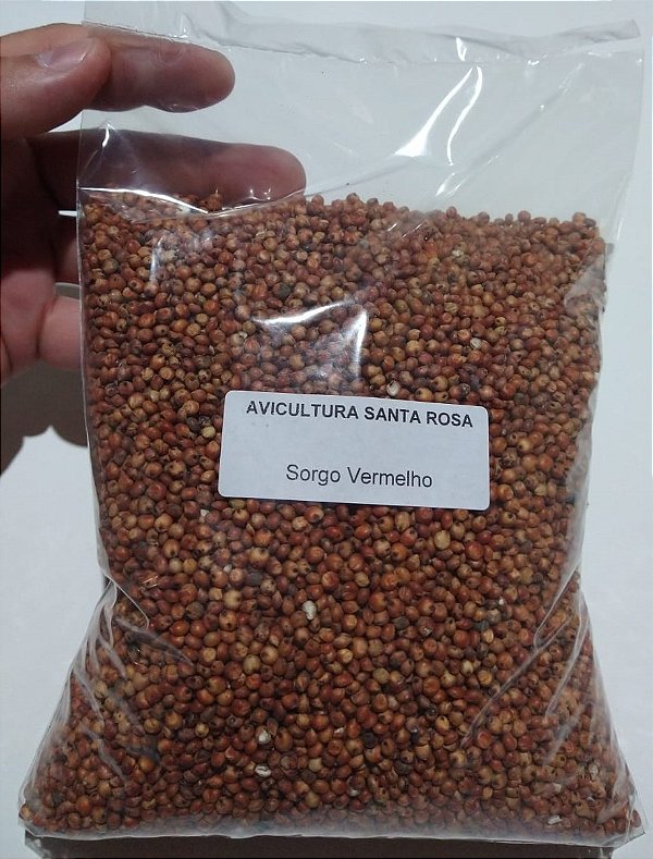 Sorgo Vermelho