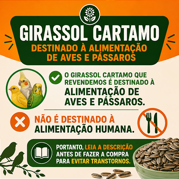 Girassol Cártamo