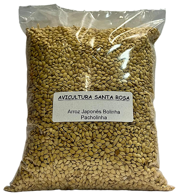 Arroz Japonês Bolinha (Pacholinha)