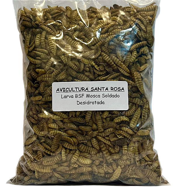 Larvas Bsf Mosca Soldado Desidratada