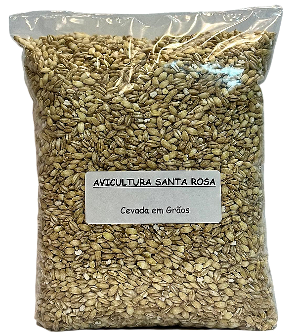 Cevada Em Grãos (Cevadinha)
