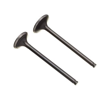 VALVULA ADMISSAO/ESCAPE TITAN 125 09 (PAR)