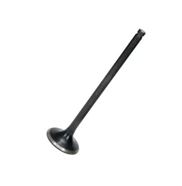 VALVULA ESCAPE TITAN 125 02...