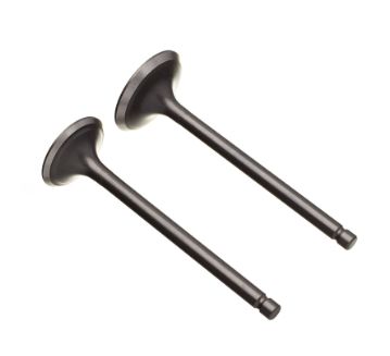 VALVULA ADMISSAO/ESCAPE FAZER 250/LANDER/TENERE/XT 225/TTR 230 (PAR)