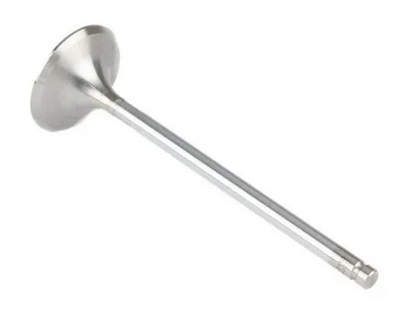 VALVULA ESCAPE BIZ 125