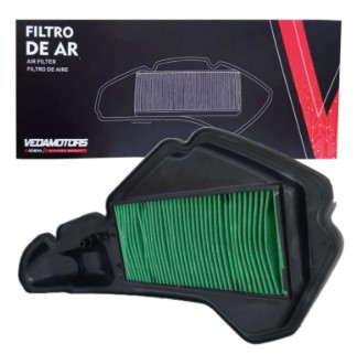 FILTRO AR PCX 150 19...