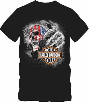 CAMISETA ALL BOY HARLEY MOTOR CYCLES PRETO G