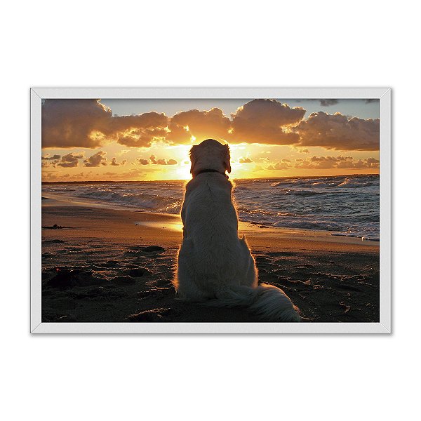 Quadro Decorativo Cachorro Na Praia Ao Nascer Do Sol