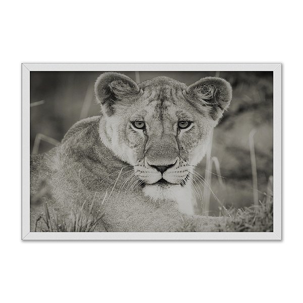 Quadro Decorativo Leoa Sépia