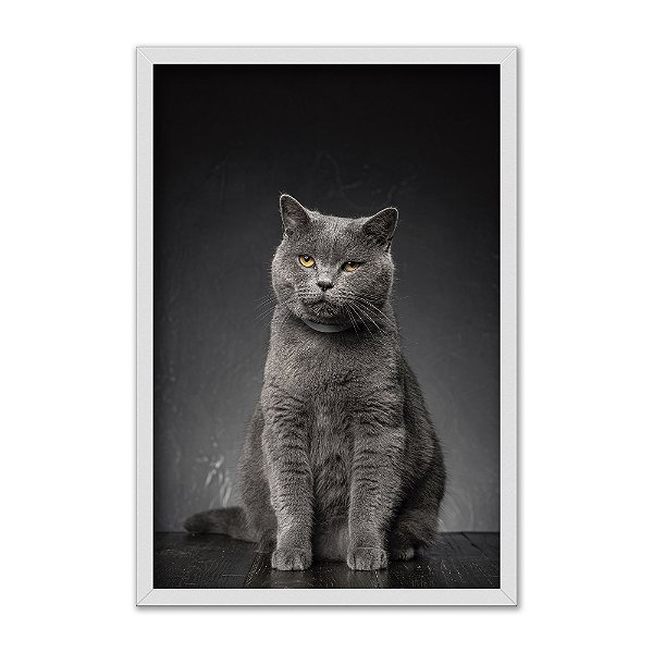 Quadro Decorativo Gato Preto E Branco