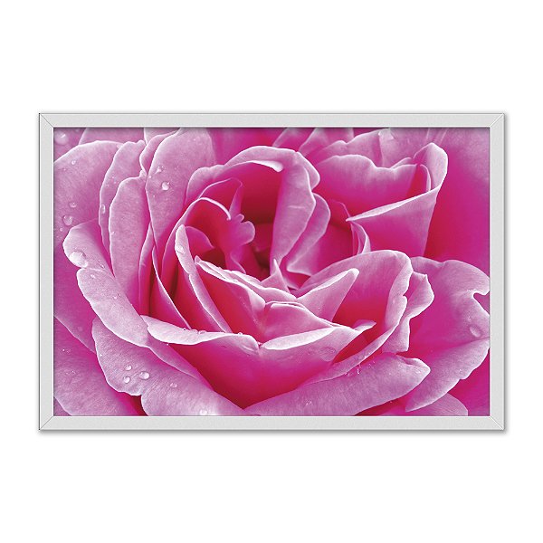 Quadro Decorativo Orvalho Numa Rosa