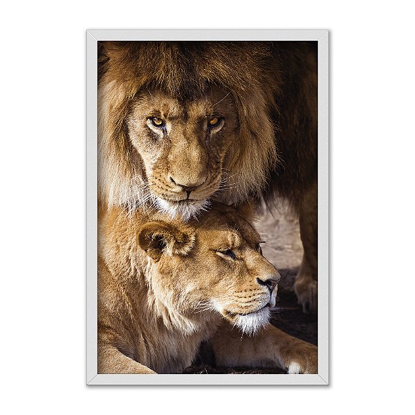 Quadro Decorativo Leão E Leoa