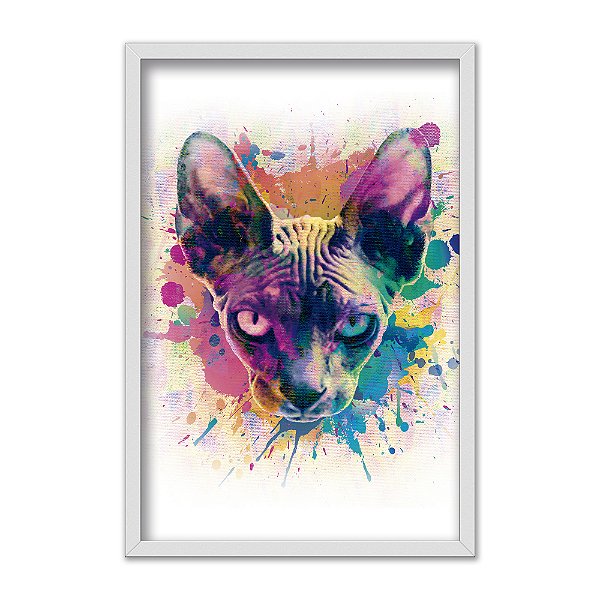 Quadro Decorativo Splash  Colorido Esfinge Gato Sphynx
