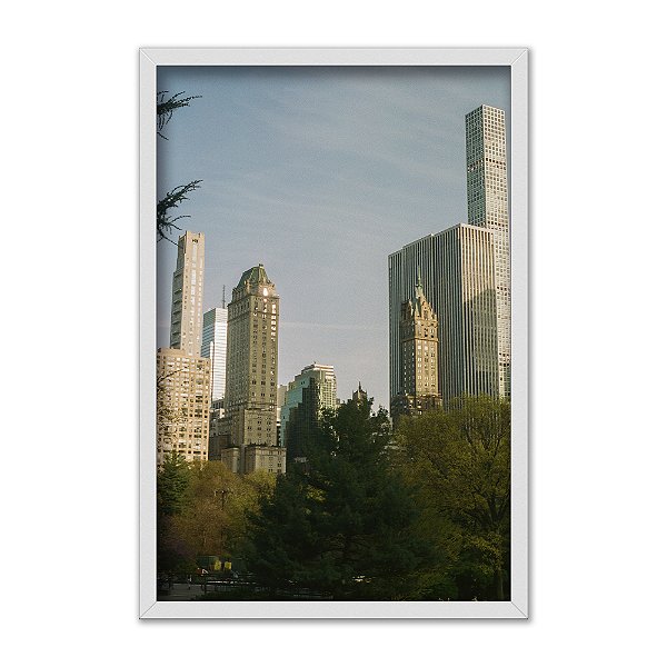 Quadro Decorativo Urbano Ambiente Floresta Na Cidade