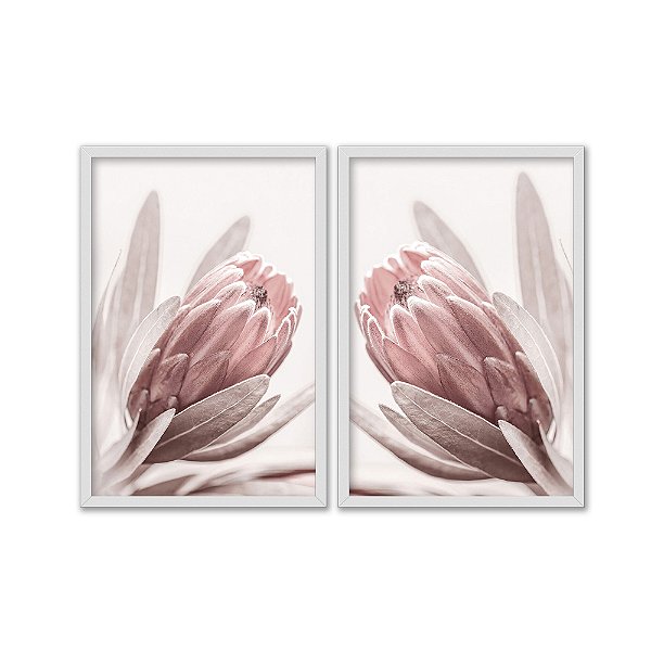 Kit Dois Quadros Decorativos Foto Aproximada Flor Rosa Fundo Branco
