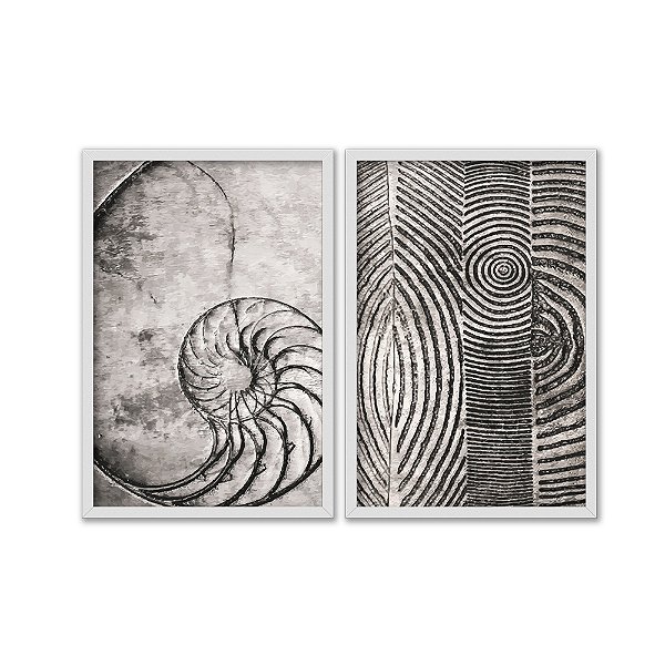 Kit Dois Quadros Decorativos Preto E Branco Fósseis Gravados Em Rochas
