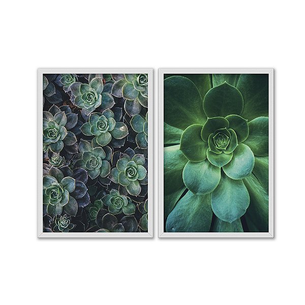 Kit Dois Quadros Decorativos Suculentas Verdes