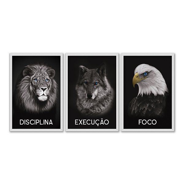 Kit 3 Quadros Decorativos Leão Lobo Águia Com Olhos Azuis Em Um Fundo Preto