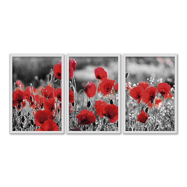 Kit 3 Quadros Decorativos Flores Vermelhas No Campo Preto E Branco