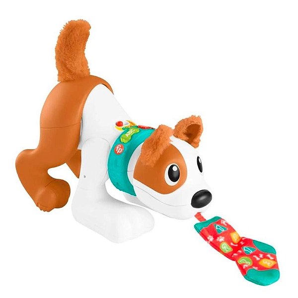 Brinquedo - Cachorrinho Engatinha Comigo Fischer Price