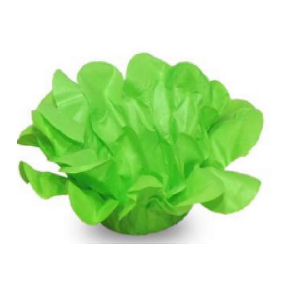 Forma Majestic Verde Limao 30 Unidades M-24