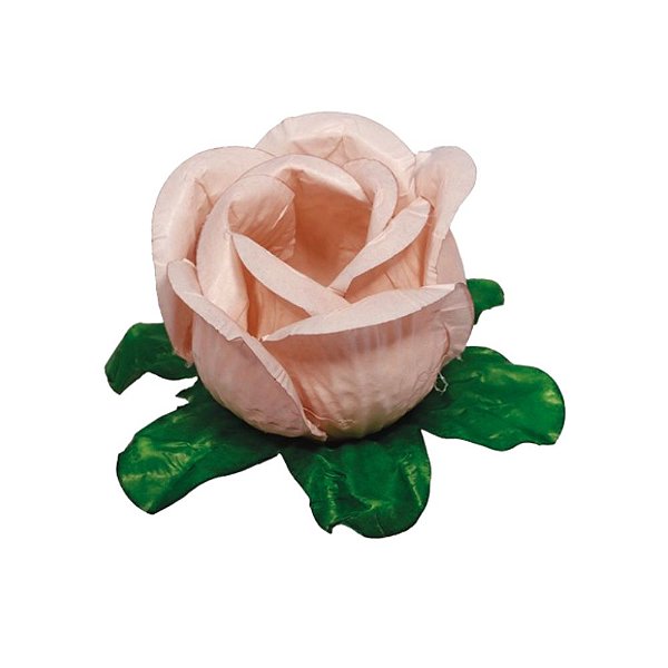 Forminha Rainha 30 Un Nude