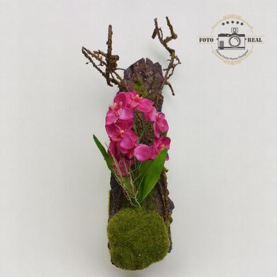 ARRANJO DE PAREDE PLACA ORQUIDEA