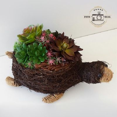 ARRANJO CACHEPOT TARTARUGA 01 COM SUCULENTAS