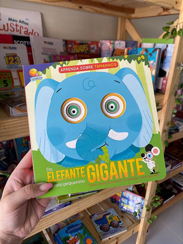 Aprenda Sobre Tamanhos