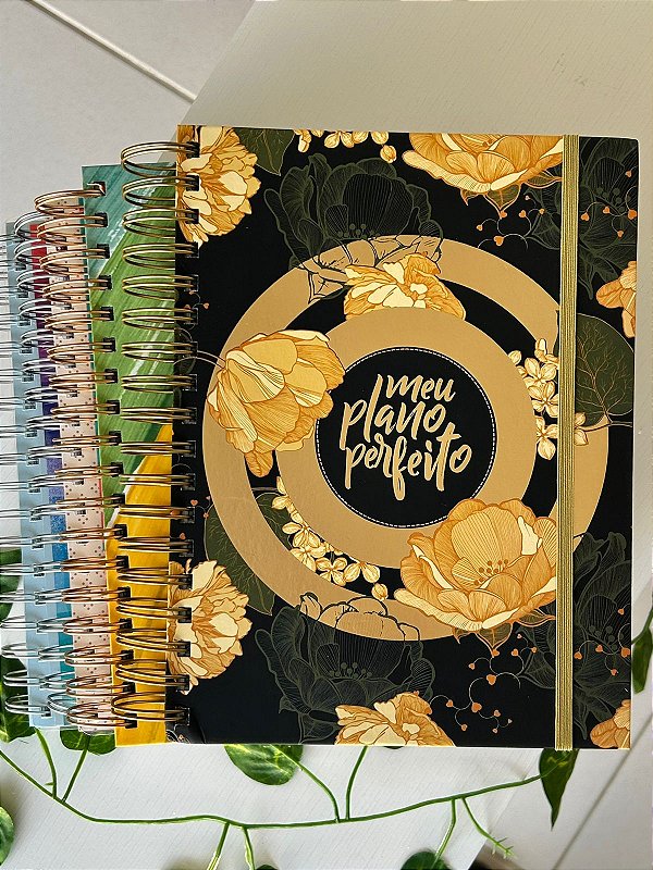 Planner Meu Plano Perfeito