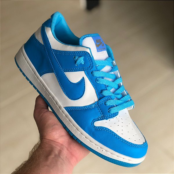 Nike Dunk low pro coast
