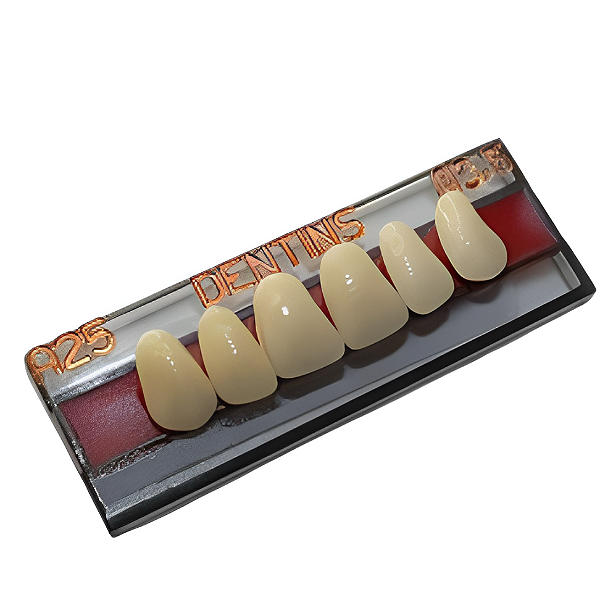 Dente Acrílico Dentins 2 Camadas – Anteriores Superiores