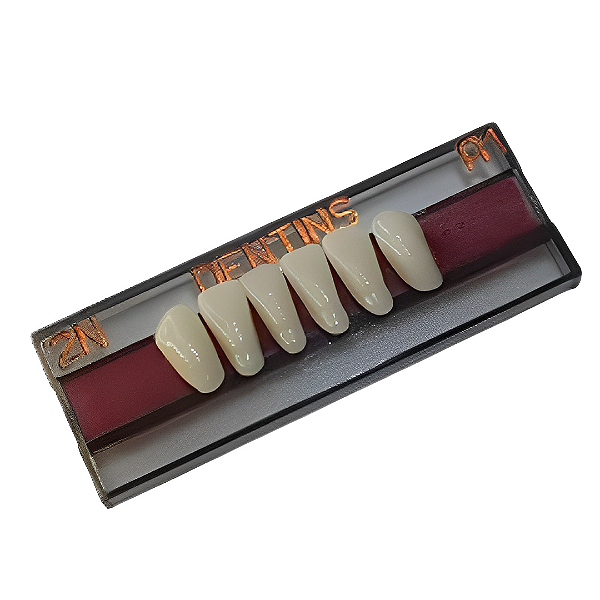 Dente Acrílico Dentins 2 Camadas – Anteriores Inferiores