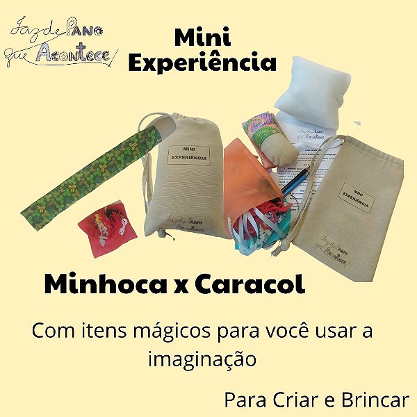 MINI EXPERIÊNCIA - MINHOCA X CARACOL