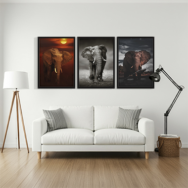 Quadro Decorativo Animais Trio Elefante